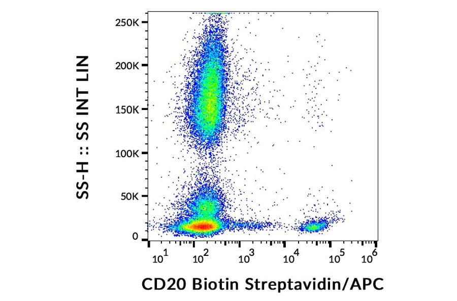 Flow Cytometry - Anti-CD20 Antibody [LT20] (Biotin) (A85861)