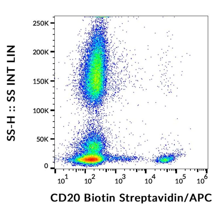 Flow Cytometry - Anti-CD20 Antibody [LT20] (Biotin) (A85861)