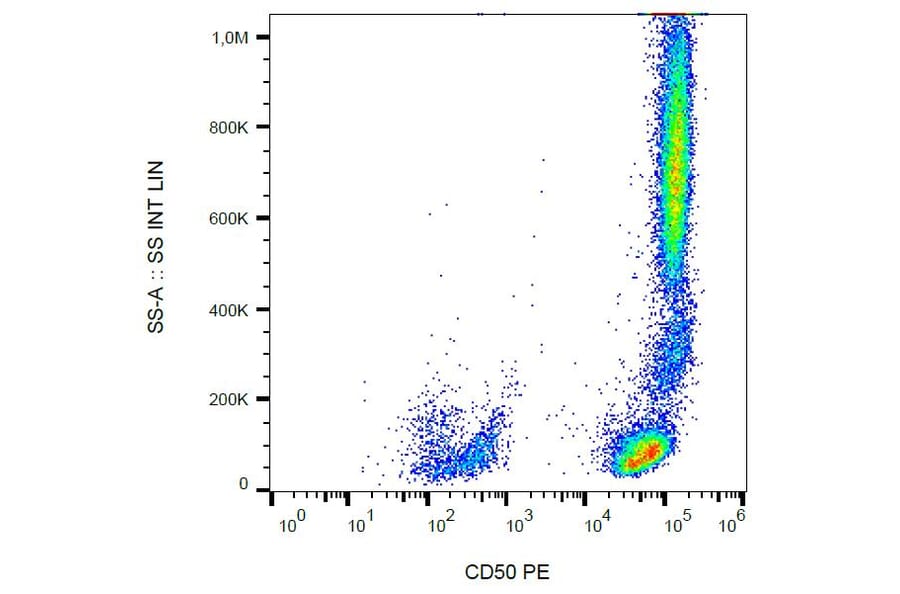 Flow Cytometry - Anti-CD50 Antibody [MEM-171] (PE) (A85860) - Antibodies.com
