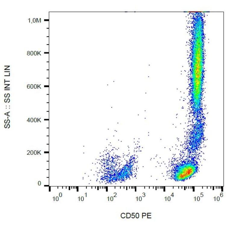 Flow Cytometry - Anti-CD50 Antibody [MEM-171] (PE) (A85860) - Antibodies.com