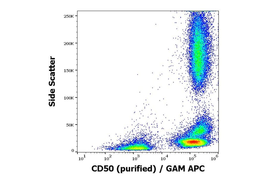 Flow Cytometry - Anti-ICAM3 Antibody [MEM-171] (A85863)