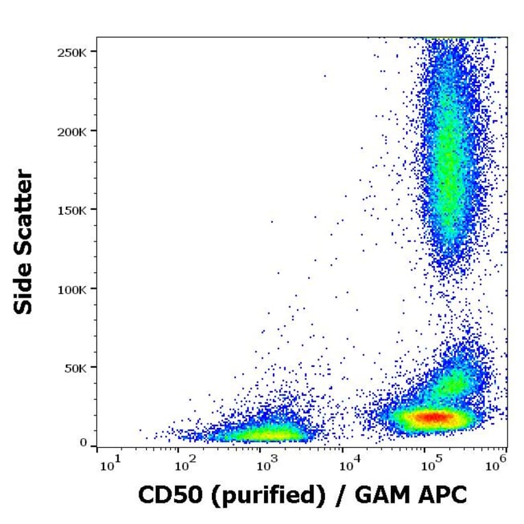 Flow Cytometry - Anti-ICAM3 Antibody [MEM-171] (A85863)