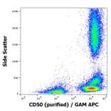 Flow Cytometry - Anti-ICAM3 Antibody [MEM-171] (A85863)