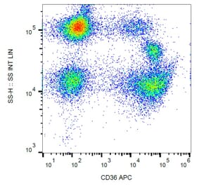 Flow Cytometry - Anti-CD36 Antibody [TR9] (APC) (A85865)