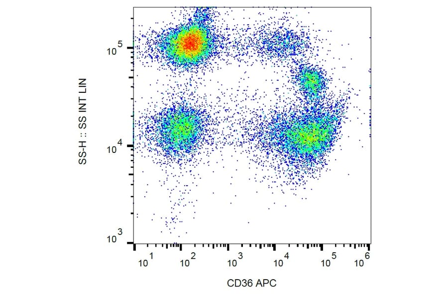 Flow Cytometry - Anti-CD36 Antibody [TR9] (APC) (A85865)
