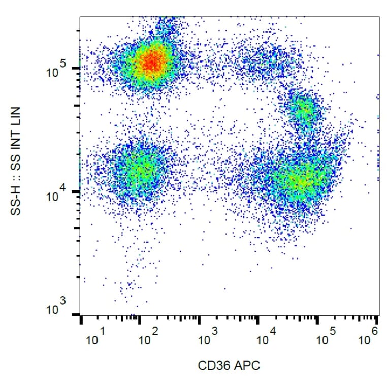 Flow Cytometry - Anti-CD36 Antibody [TR9] (APC) (A85865)