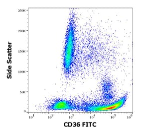 Flow Cytometry - Anti-CD36 Antibody [TR9] (FITC) (A85866)