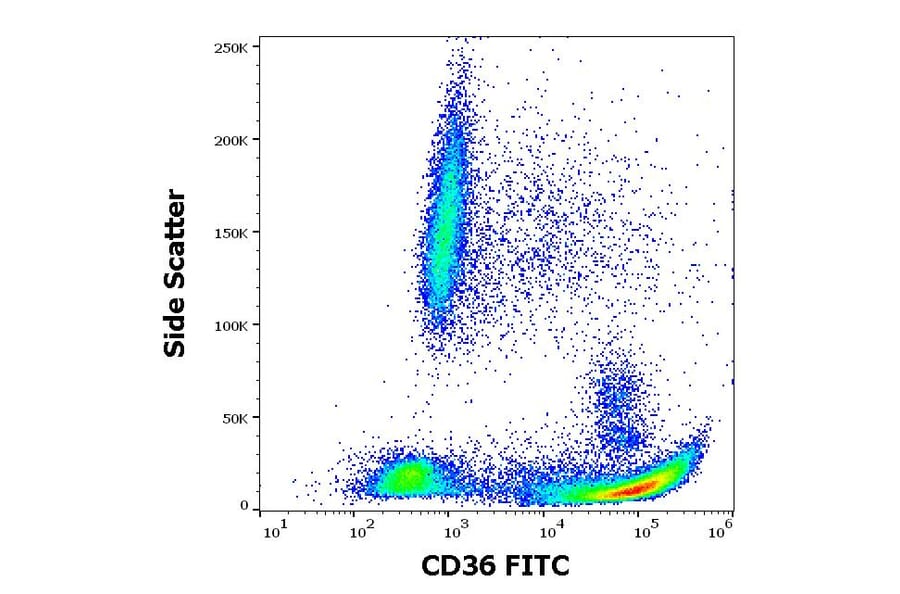 Flow Cytometry - Anti-CD36 Antibody [TR9] (FITC) (A85866)