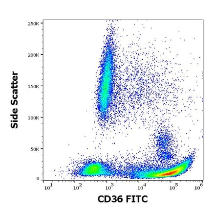 Flow Cytometry - Anti-CD36 Antibody [TR9] (FITC) (A85866)