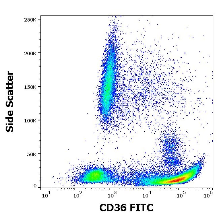Flow Cytometry - Anti-CD36 Antibody [TR9] (FITC) (A85866)