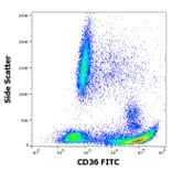 Flow Cytometry - Anti-CD36 Antibody [TR9] (FITC) (A85866)
