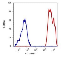 Flow Cytometry - Anti-CD36 Antibody [TR9] (FITC) (A85865) - Antibodies.com