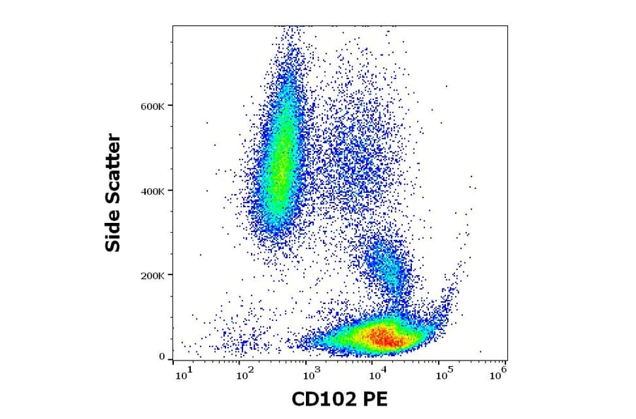 Flow Cytometry - Anti-ICAM2 Antibody [CBR-IC2/2] (PE) (A85867)