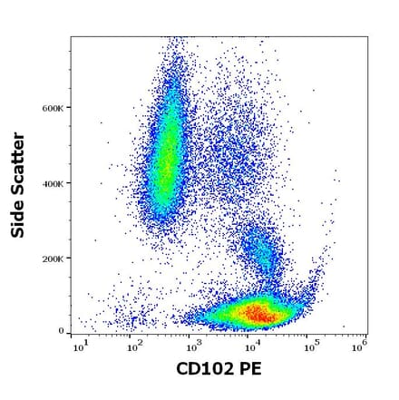 Flow Cytometry - Anti-ICAM2 Antibody [CBR-IC2/2] (PE) (A85867)