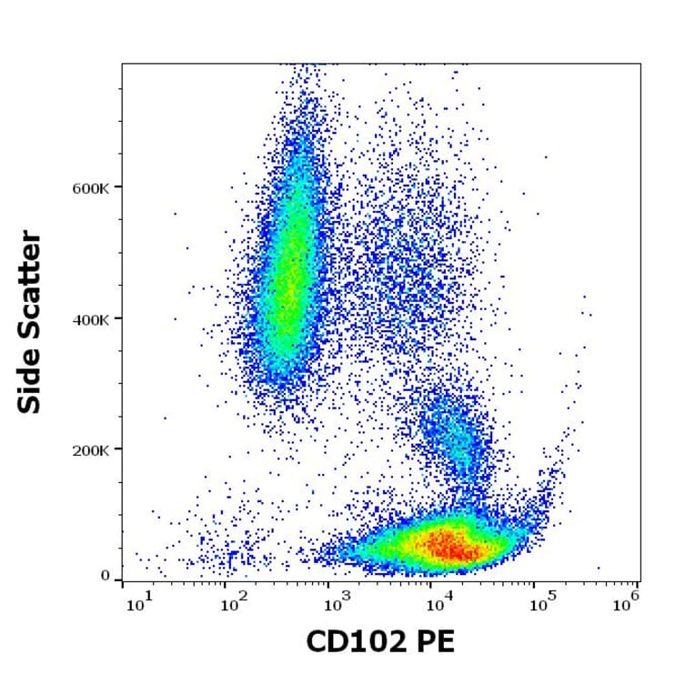 Flow Cytometry - Anti-ICAM2 Antibody [CBR-IC2/2] (PE) (A85867)