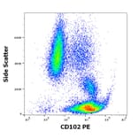 Flow Cytometry - Anti-ICAM2 Antibody [CBR-IC2/2] (PE) (A85867)