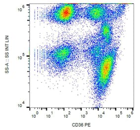 Flow Cytometry - Anti-CD36 Antibody [TR9] (PE) (A85868)