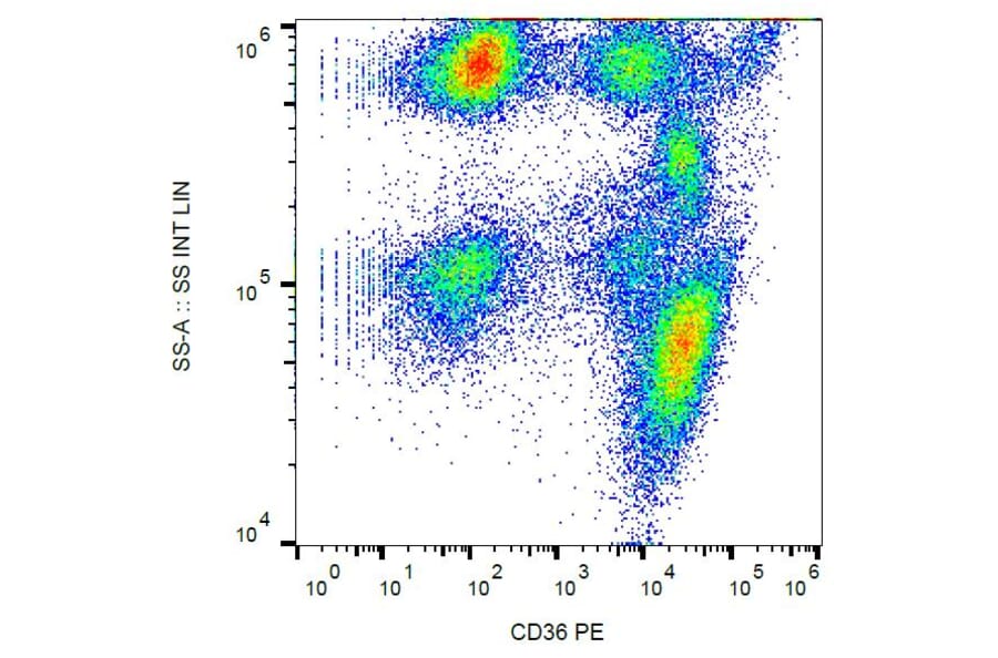 Flow Cytometry - Anti-CD36 Antibody [TR9] (PE) (A85868)