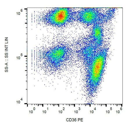 Flow Cytometry - Anti-CD36 Antibody [TR9] (PE) (A85868)