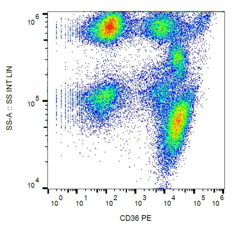 Flow Cytometry - Anti-CD36 Antibody [TR9] (PE) (A85868)