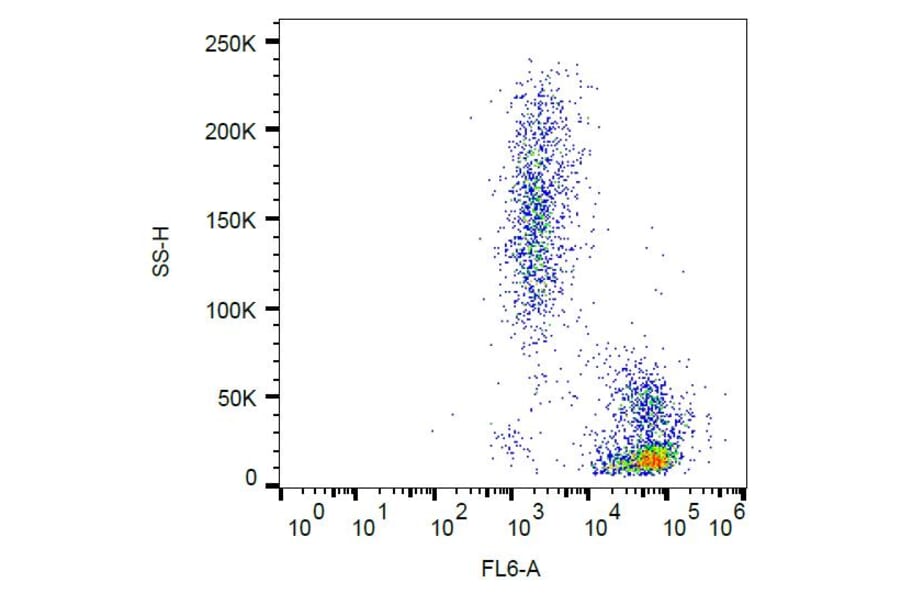 Flow Cytometry - Anti-ICAM2 Antibody [CBR-IC2/2] (A85869)