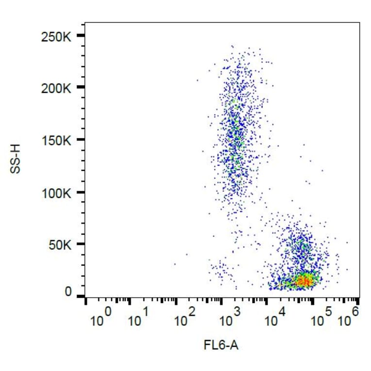 Flow Cytometry - Anti-ICAM2 Antibody [CBR-IC2/2] (A85869)