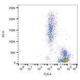 Flow Cytometry - Anti-ICAM2 Antibody [CBR-IC2/2] (A85869)
