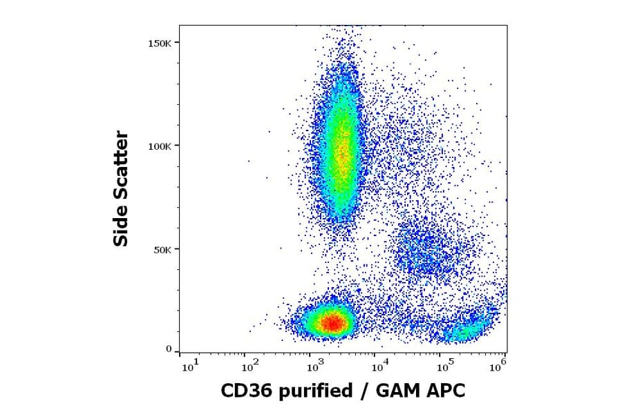 Flow Cytometry - Anti-CD36 Antibody [TR9] (A85871)