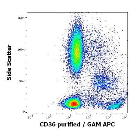 Flow Cytometry - Anti-CD36 Antibody [TR9] (A85871)