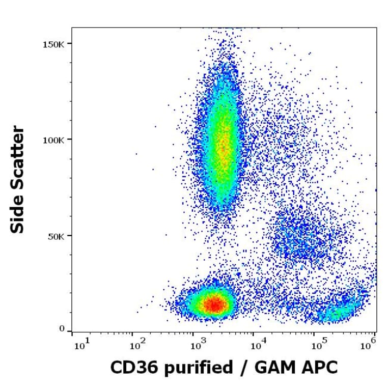 Flow Cytometry - Anti-CD36 Antibody [TR9] (A85871)