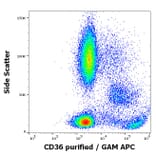 Flow Cytometry - Anti-CD36 Antibody [TR9] (A85871)