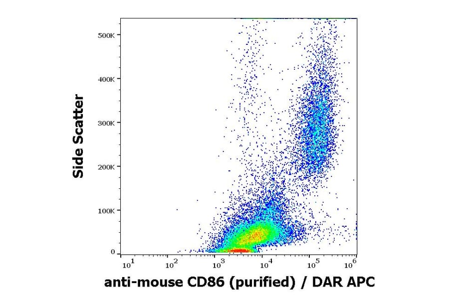Flow Cytometry - Anti-CD86 Antibody [GL-1] (A85872)