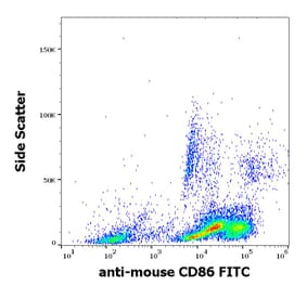 Flow Cytometry - Anti-CD86 Antibody [GL-1] (FITC) (A85873)