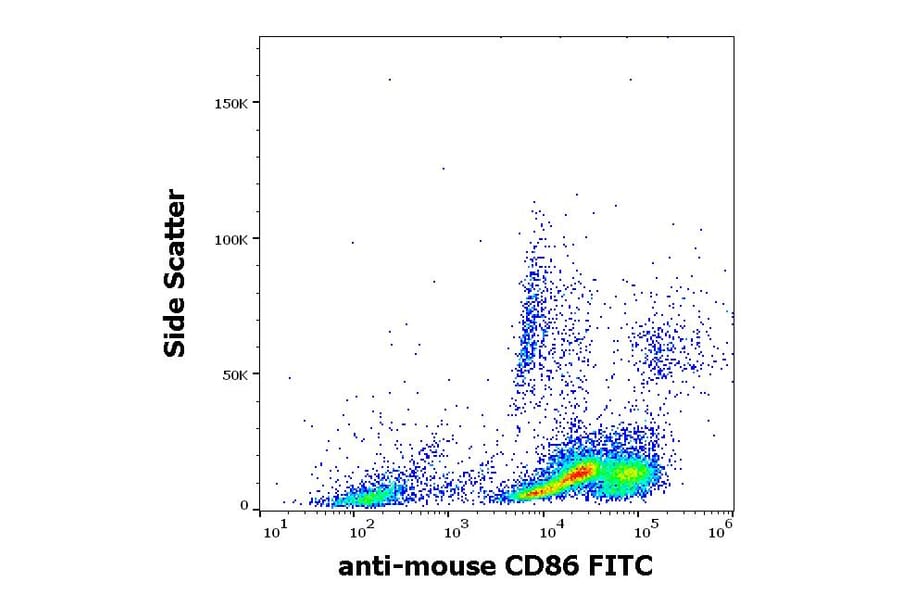Flow Cytometry - Anti-CD86 Antibody [GL-1] (FITC) (A85873)