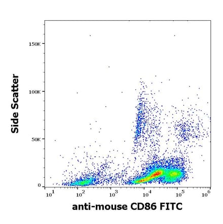 Flow Cytometry - Anti-CD86 Antibody [GL-1] (FITC) (A85873)