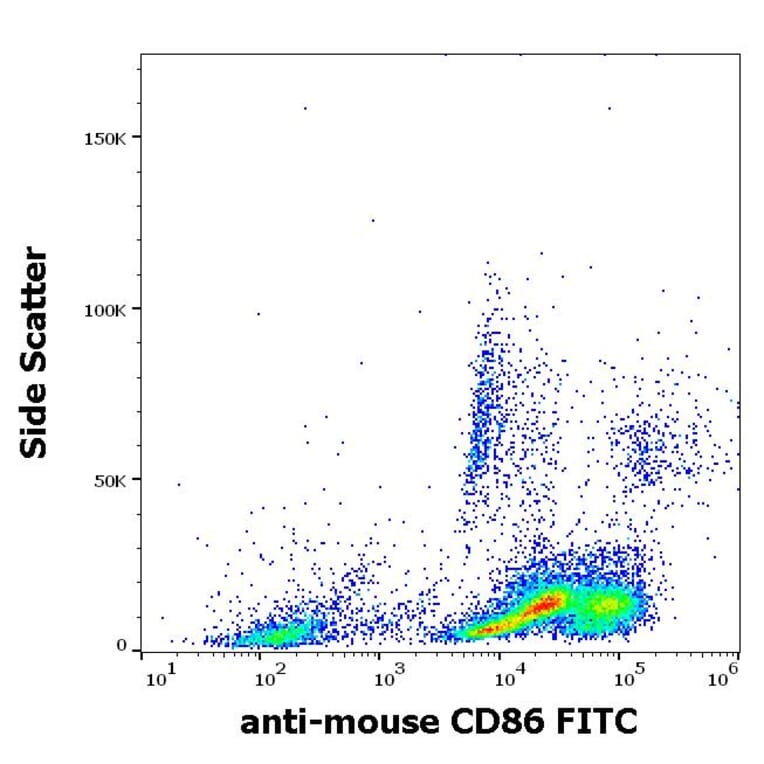 Flow Cytometry - Anti-CD86 Antibody [GL-1] (FITC) (A85873)