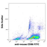 Flow Cytometry - Anti-CD86 Antibody [GL-1] (FITC) (A85873)