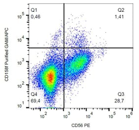 Flow Cytometry - Anti-KIR2DL5B Antibody [UP-R1] (A85877) - Antibodies.com