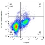 Flow Cytometry - Anti-KIR2DL5B Antibody [UP-R1] (A85877) - Antibodies.com