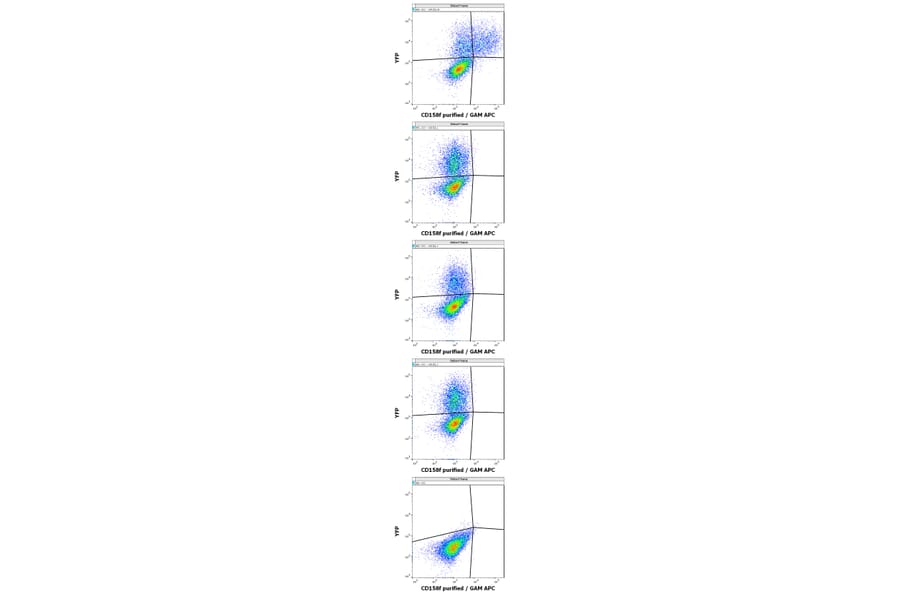 Flow Cytometry - Anti-KIR2DL5A Antibody [UP-R1] (A85878)