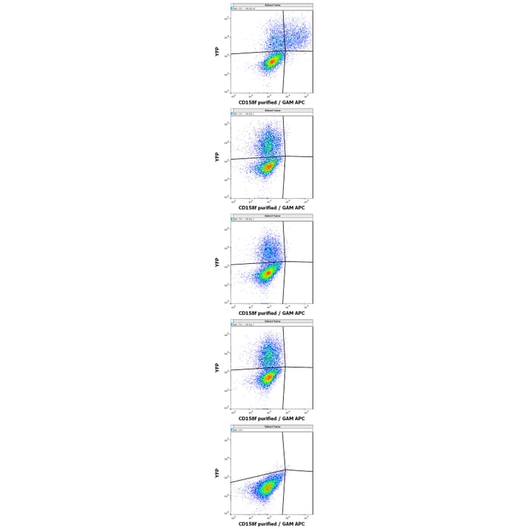 Flow Cytometry - Anti-KIR2DL5A Antibody [UP-R1] (A85878)