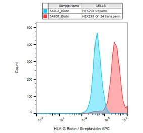 Flow Cytometry - Anti-HLA G Antibody [5A6G7] (Biotin) (A85879)