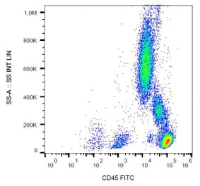 Flow Cytometry - Anti-CD45 Antibody [MEM-28] (FITC) (A85881)