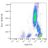Flow Cytometry - Anti-CD45 Antibody [MEM-28] (FITC) (A85881)