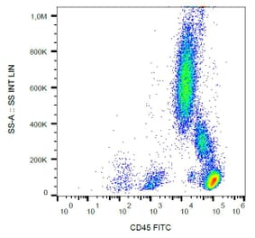 Flow Cytometry - Anti-CD45 Antibody [MEM-28] (FITC) (A85879) - Antibodies.com