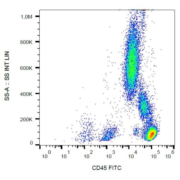 Flow Cytometry - Anti-CD45 Antibody [MEM-28] (FITC) (A85879) - Antibodies.com