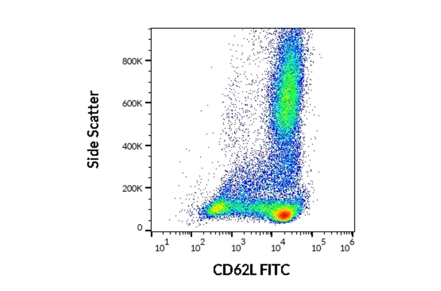 Flow Cytometry - Anti-CD62L Antibody [DREG56] (FITC) (A85882)
