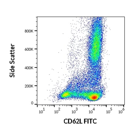 Flow Cytometry - Anti-CD62L Antibody [DREG56] (FITC) (A85882)