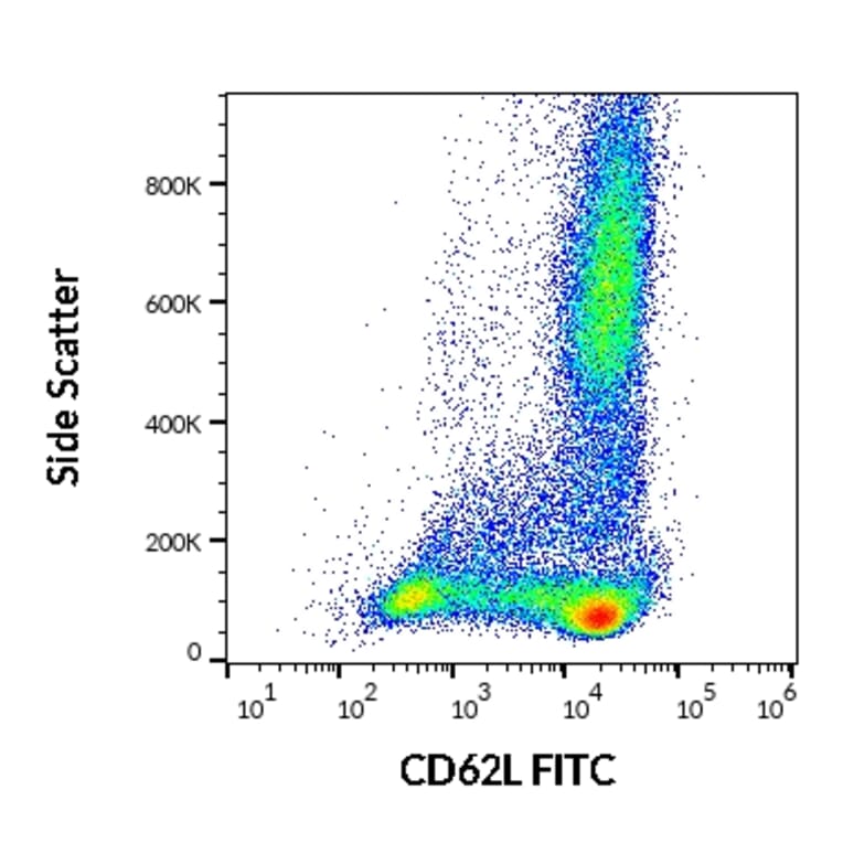 Flow Cytometry - Anti-CD62L Antibody [DREG56] (FITC) (A85882)