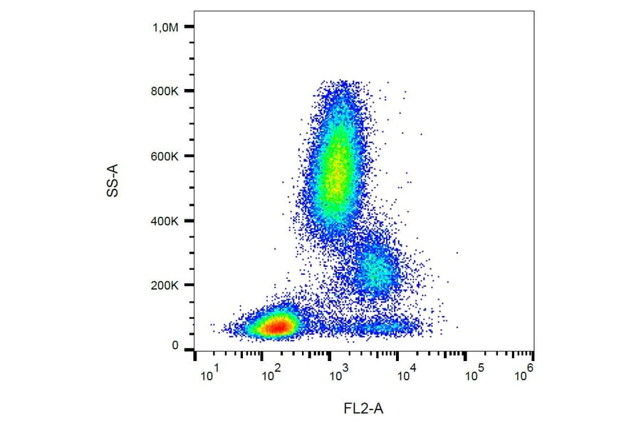 Flow Cytometry - Anti-CD39 Antibody [TU66] (PE) (A85883)